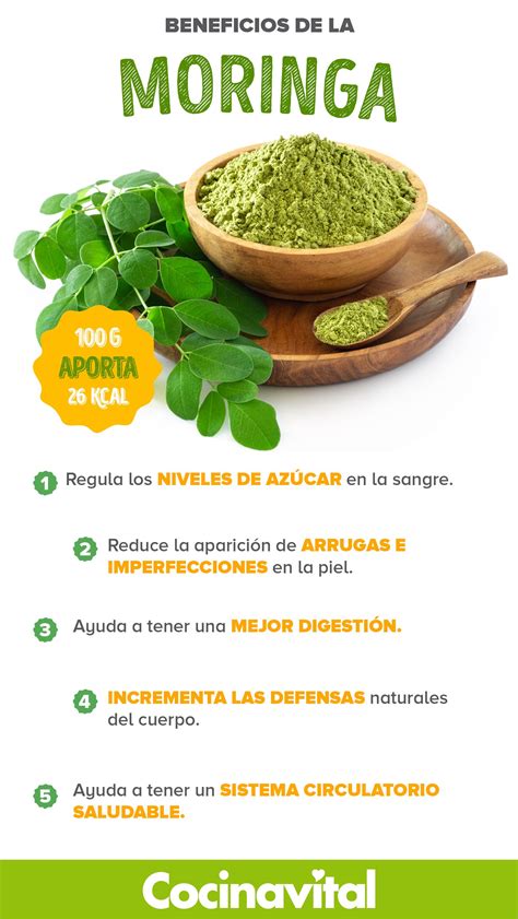 antonio de morga|moringa beneficios para la salud.